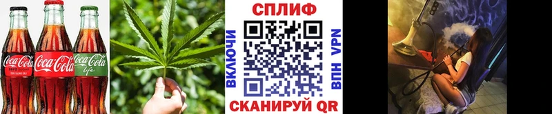 Canna-Cookies марихуана  купить наркотики сайты  Долгопрудный 
