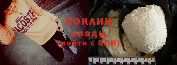 прущие грибы Богородицк