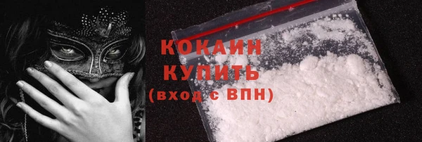 прущие грибы Богородицк