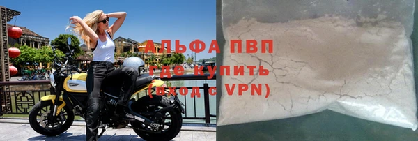 прущие грибы Богородицк