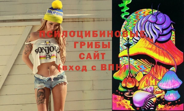 дживик Богданович