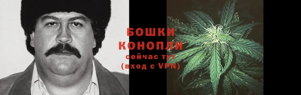 ПСИЛОЦИБИНОВЫЕ ГРИБЫ Богородск