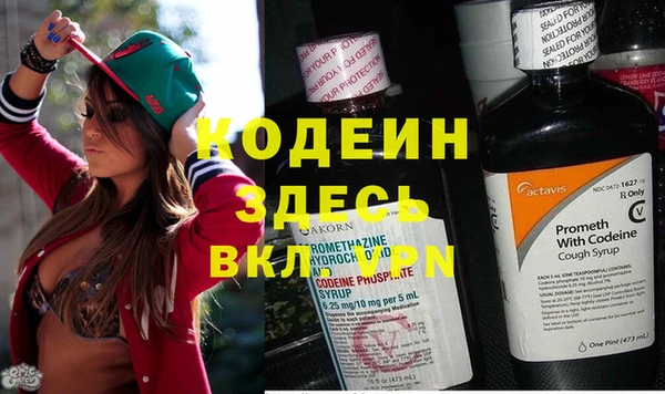 дживик Богданович