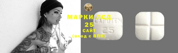 ПСИЛОЦИБИНОВЫЕ ГРИБЫ Богородск
