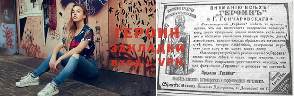 прущие грибы Богородицк