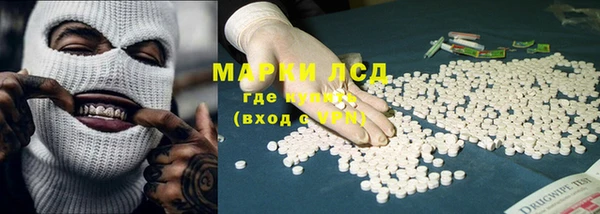 прущие грибы Богородицк