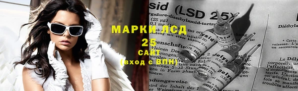 прущие грибы Богородицк