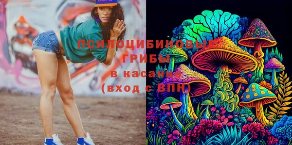 ПСИЛОЦИБИНОВЫЕ ГРИБЫ Богородск