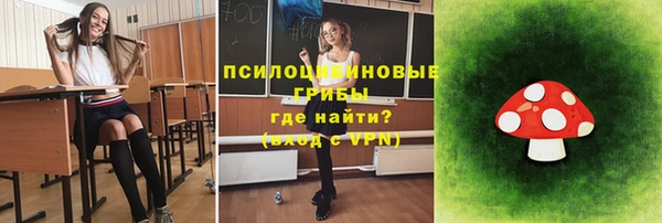 ПСИЛОЦИБИНОВЫЕ ГРИБЫ Богородск